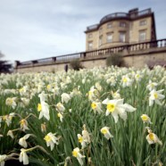 Heritage Leaflet for Yorkshire Sculpture Park