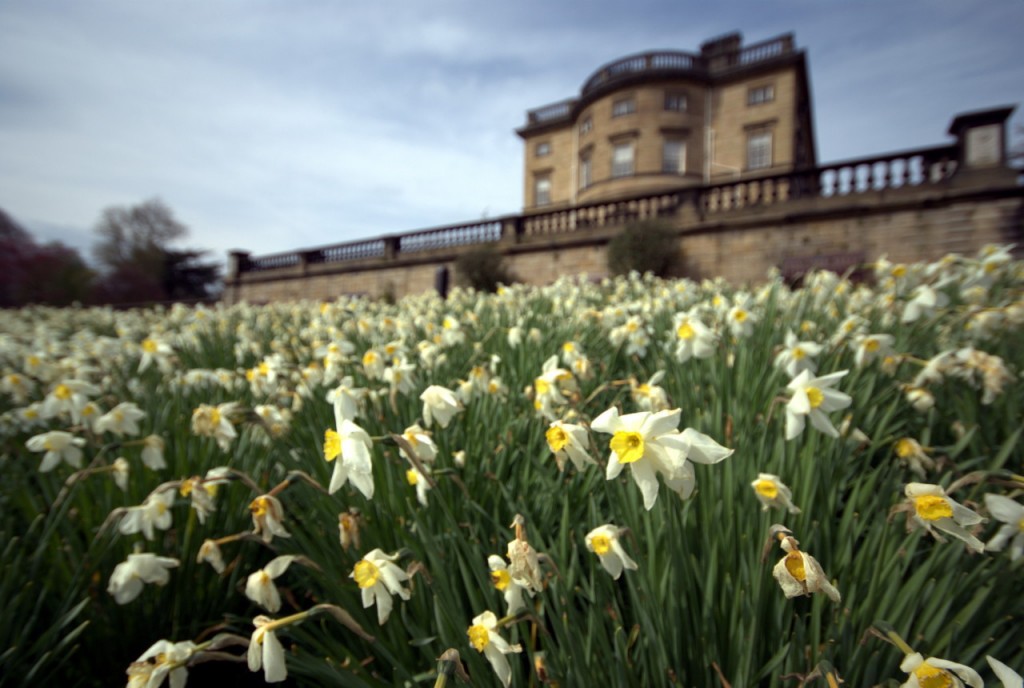 Yorkshire sculpture park editorial photography Bretton Hall at Yorkshire sculpture park