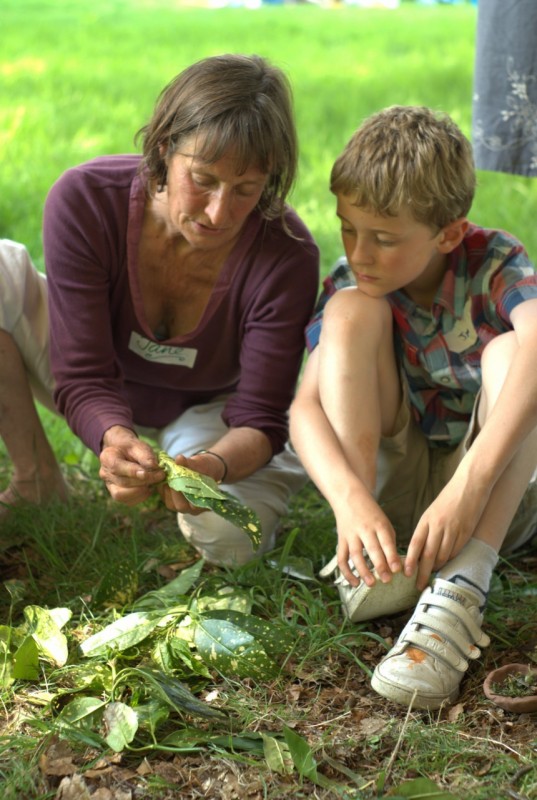 Children's art event at Yorkshire Sculpture Park Woman and a boy look at leaves at Yorkshire Sculpture Park