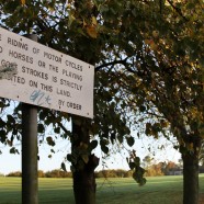 Bad language: it’s always a sign