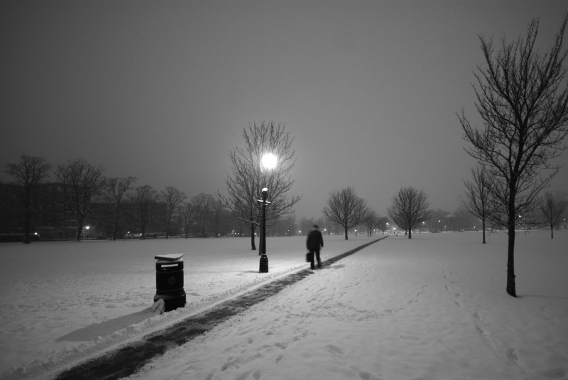 The Stray in Harrogate A snow-covered stray in Harrogate