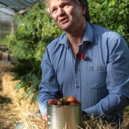 Man sat on straw bales in front of tomato plants