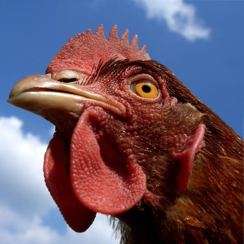 Be brave. Be specific in your copywriting